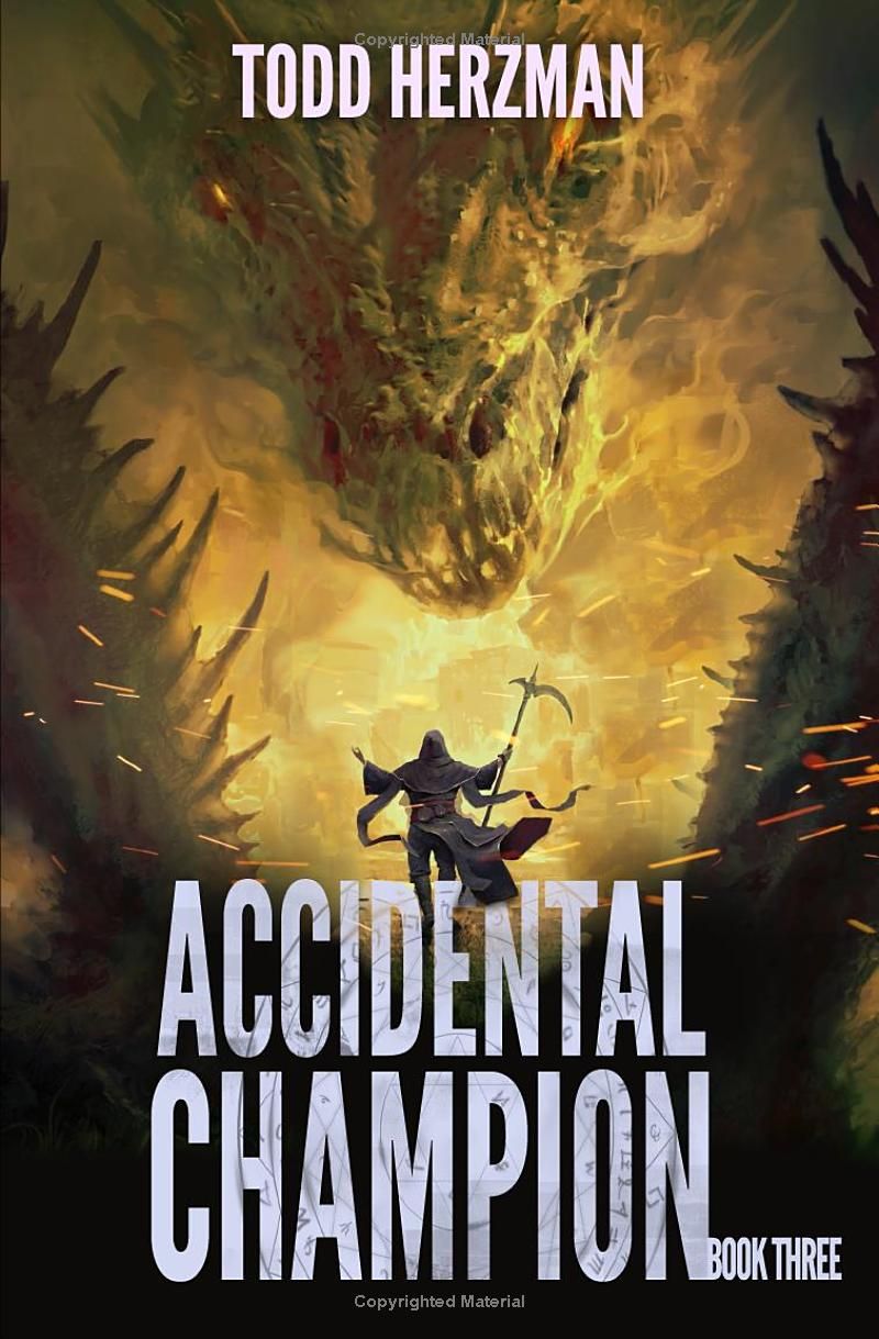 Accidental Champion 3: A LitRPG Adventure